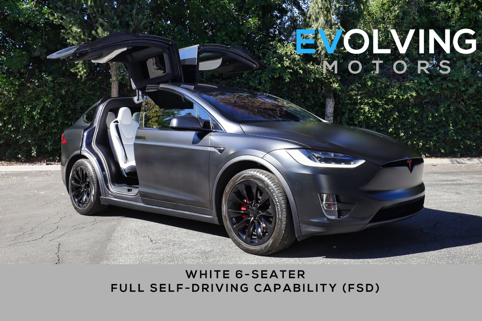 2018 tesla shop x 100d