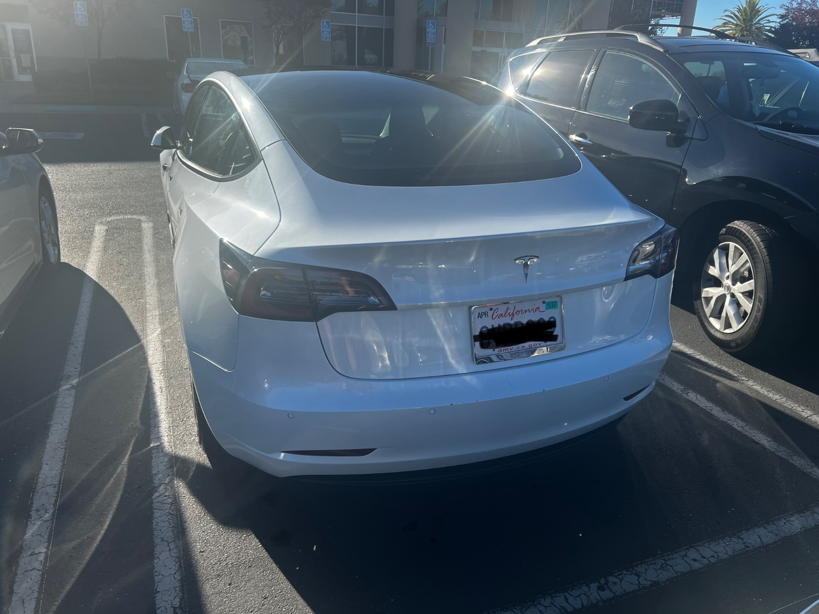 2021 Tesla Model 3 Standard Range RWD full