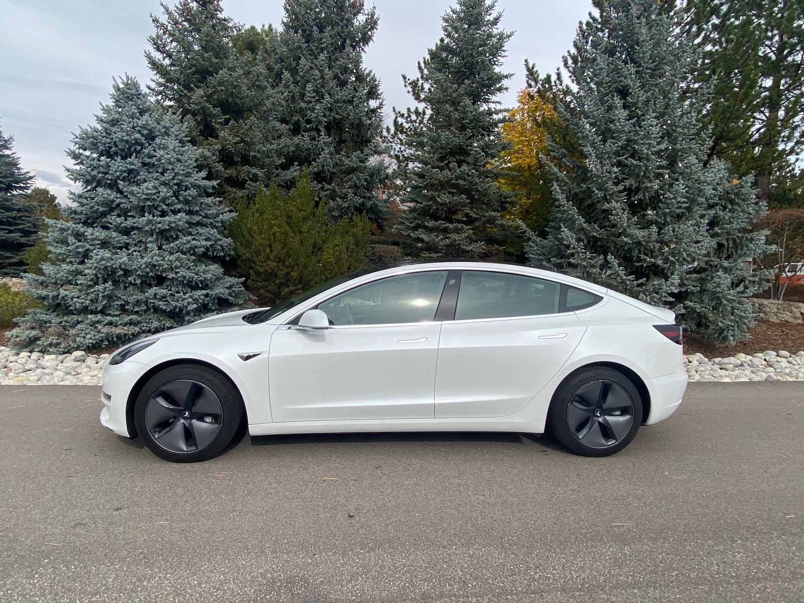 2020 Tesla Model 3 Standard Range Plus RWD full