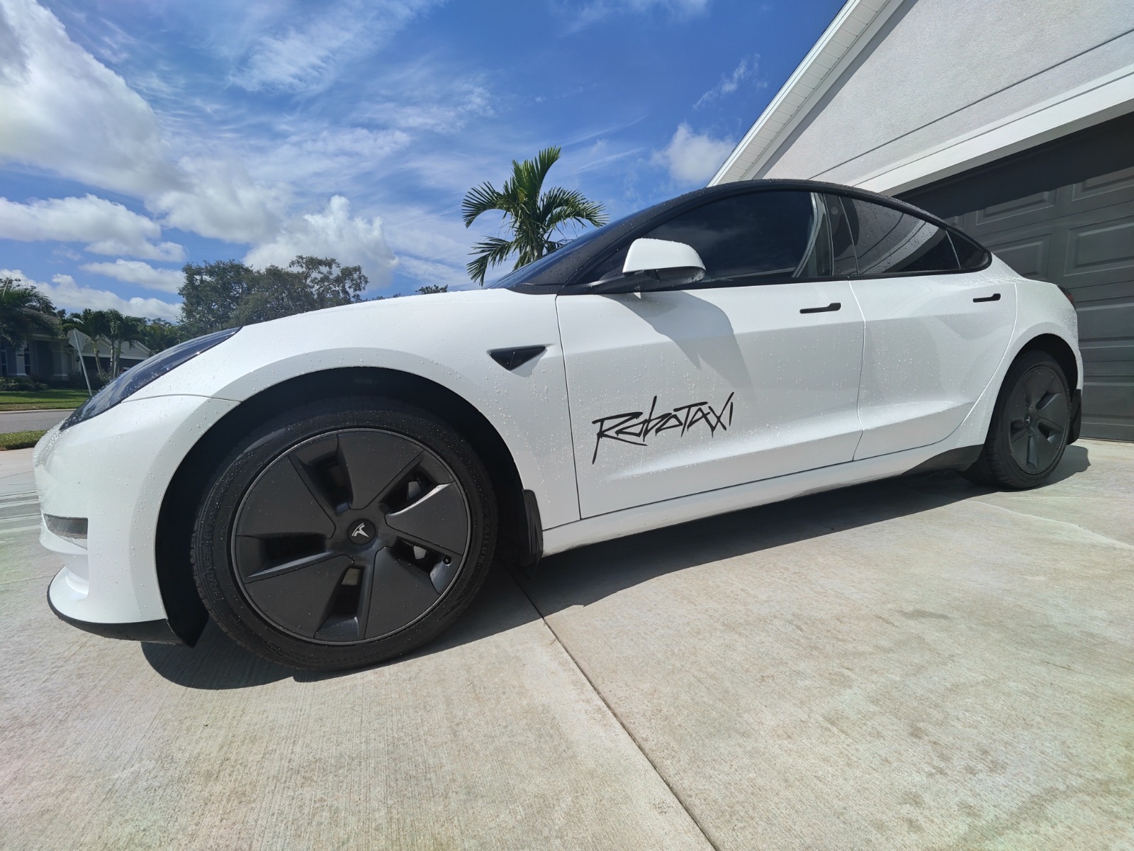 2023 Tesla Model 3 Standard Range RWD full