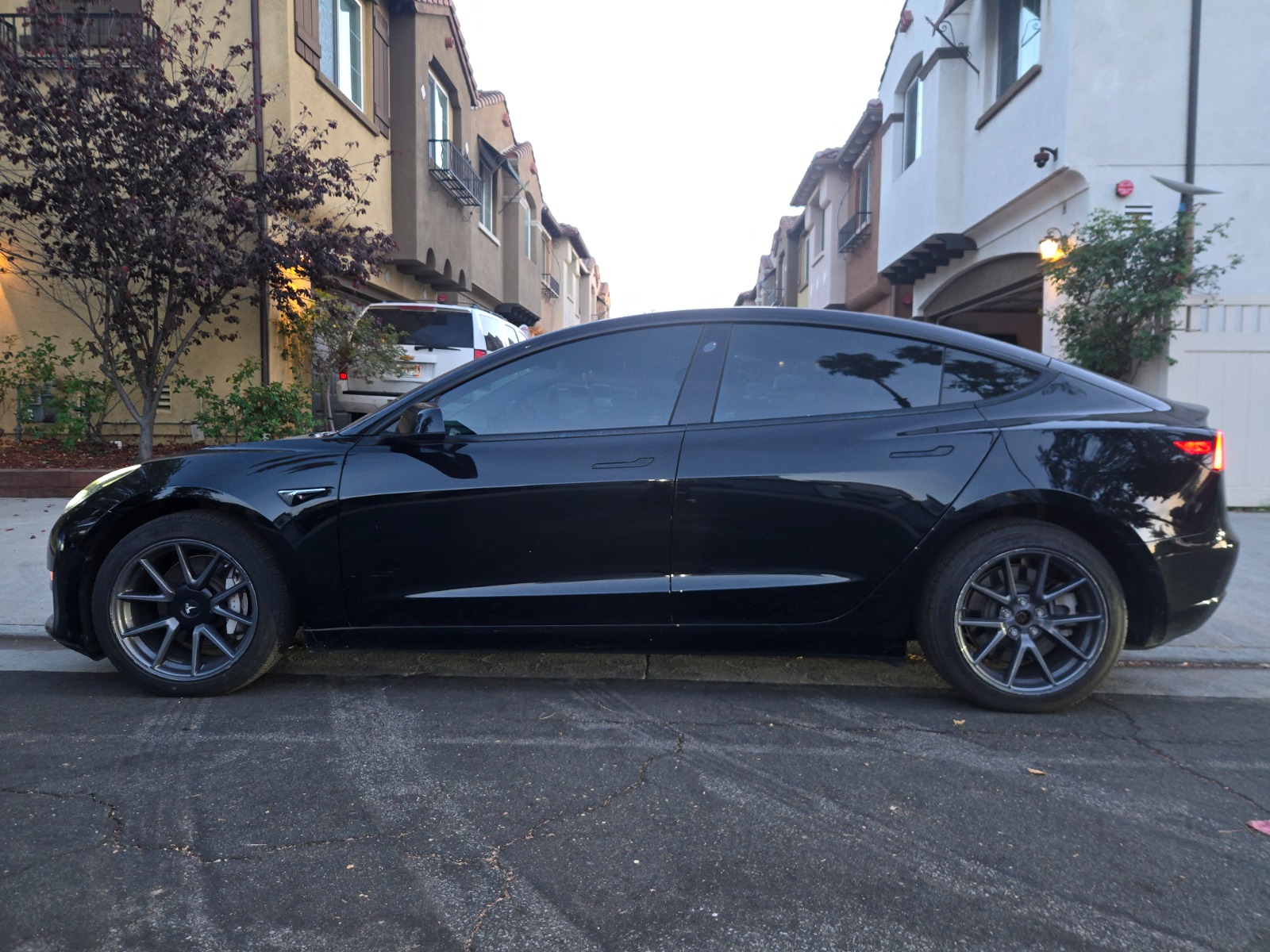 2021 Tesla Model 3 Standard Range Plus RWD full