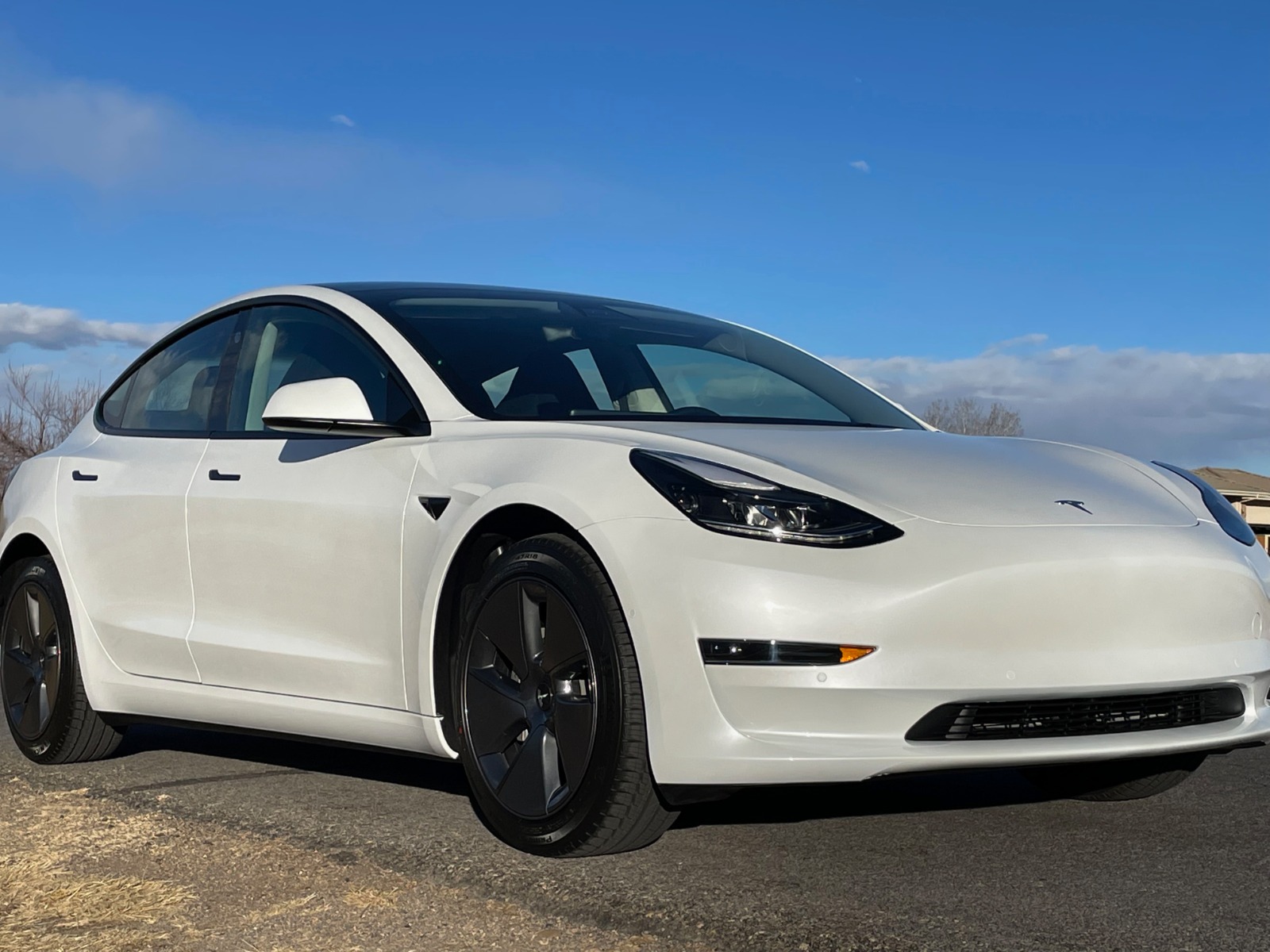 2022 Tesla Model 3 Standard Range Plus RWD full