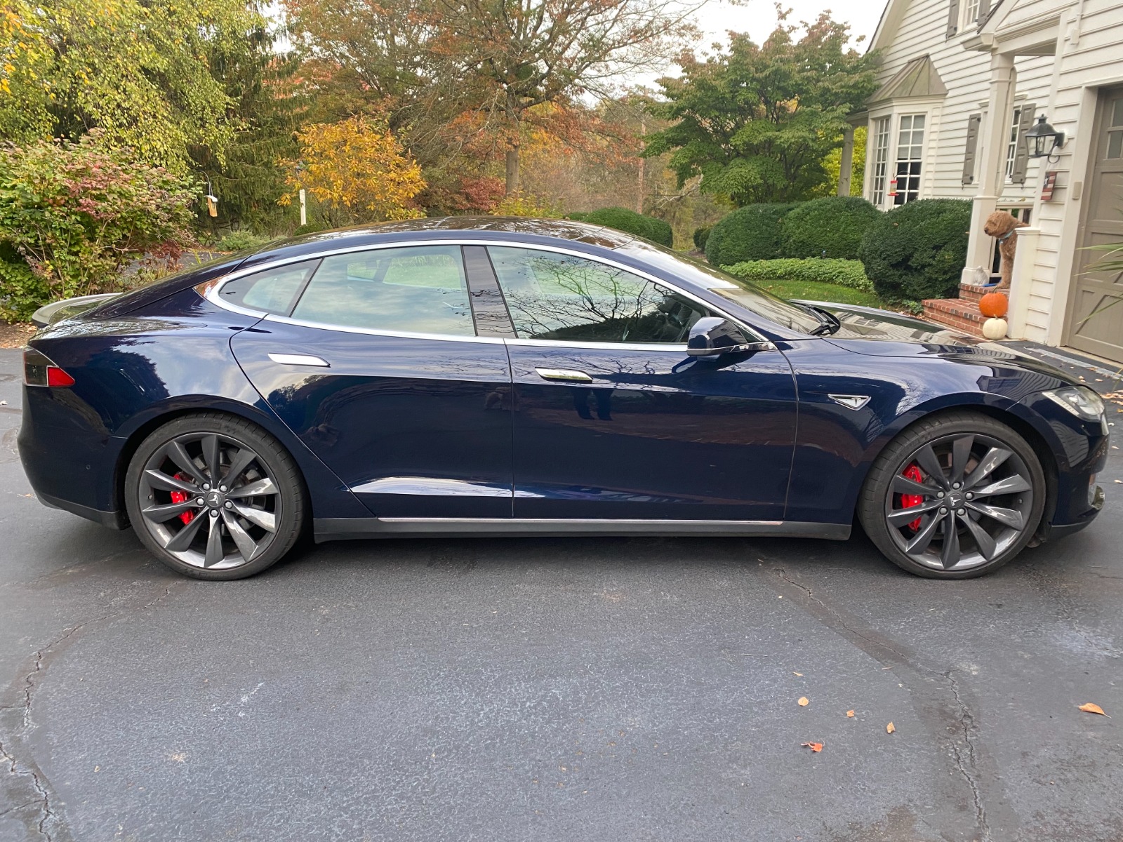 2014 Tesla Model S P85D full