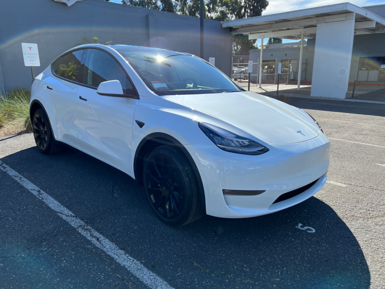 tesla model y white 2023