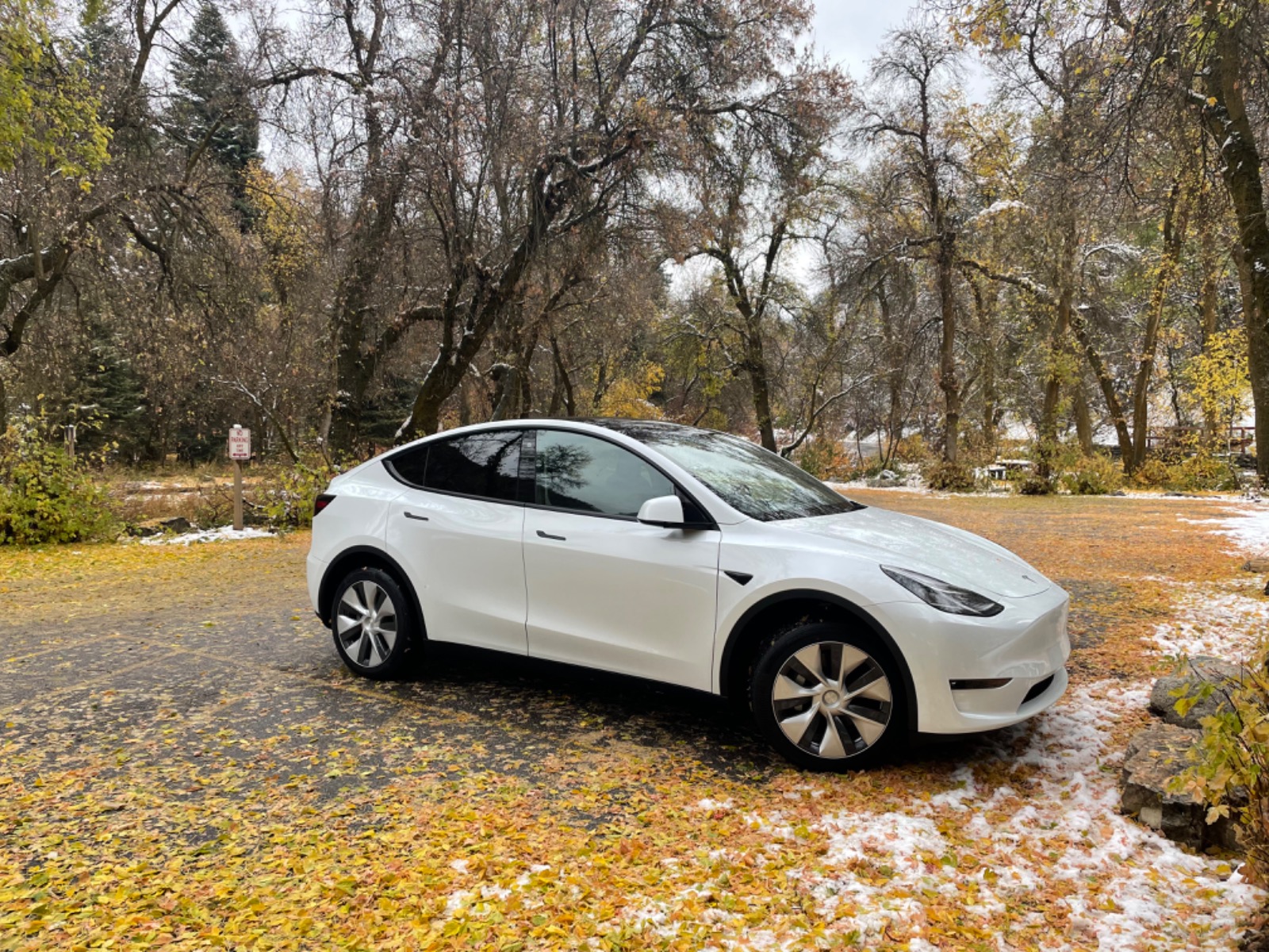 2023 Tesla Model Y Pictures