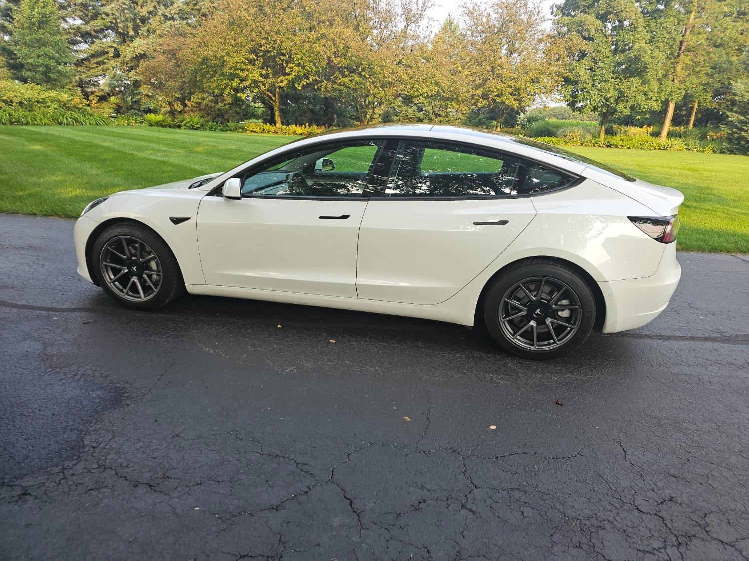 2021 Tesla Model 3 Standard Range RWD full