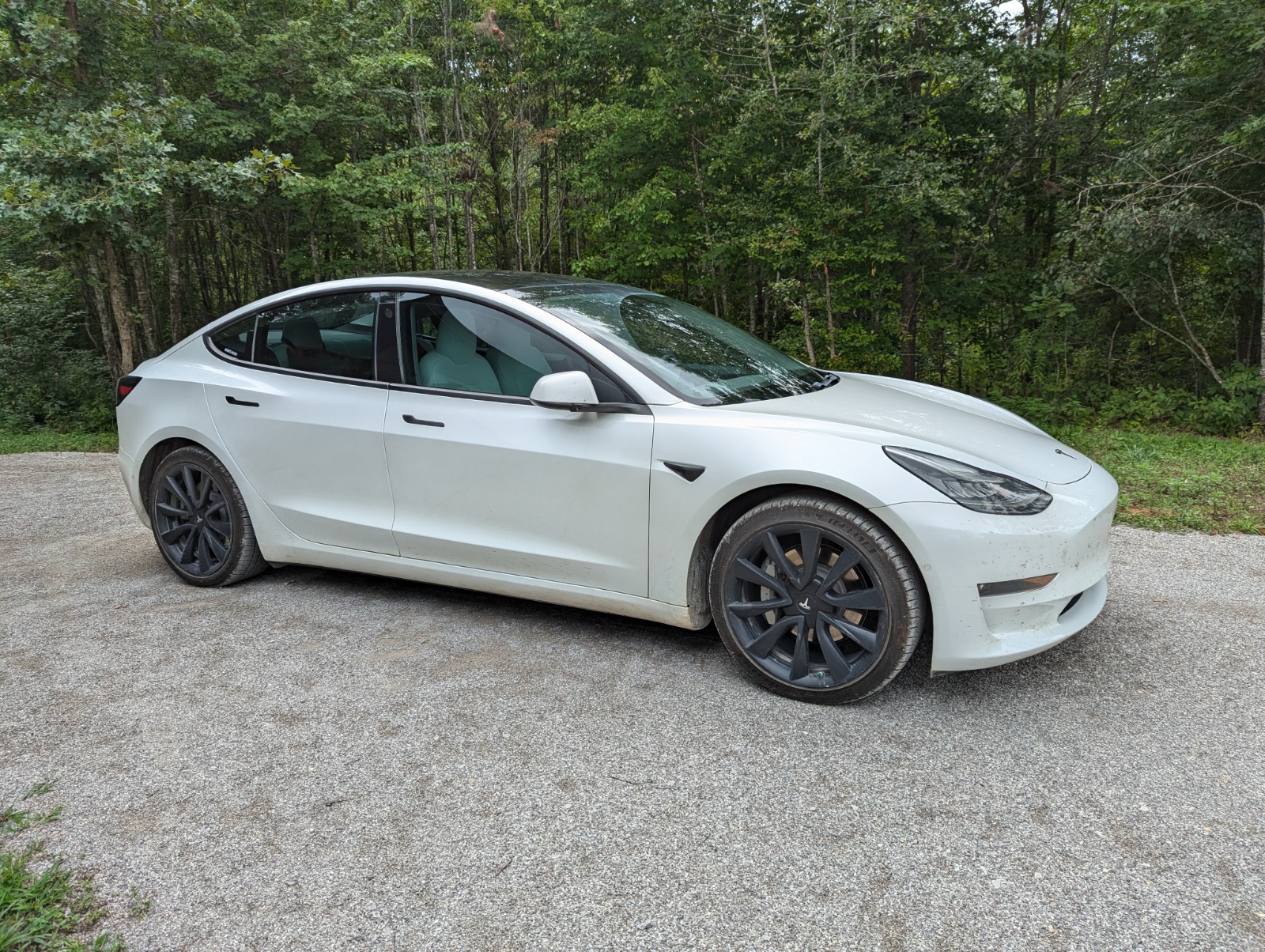 2019 Tesla Model 3 Long Range AWD full