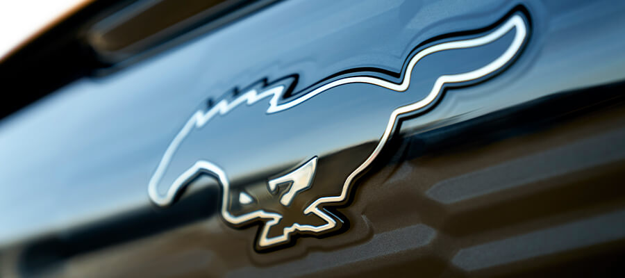 Ford Mustang Mach-E Badge