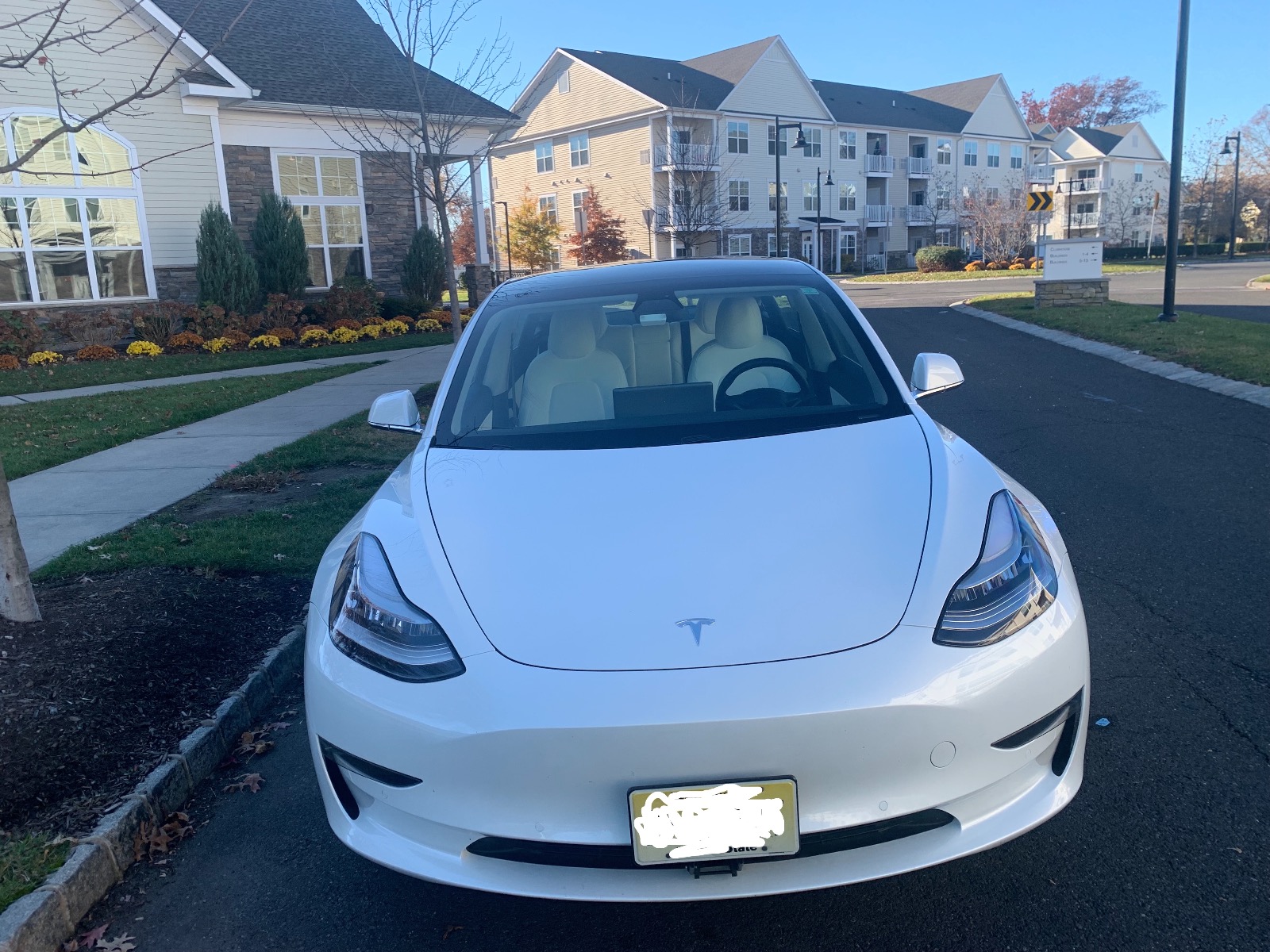 2020 Tesla Model 3 Standard Range Plus RWD full