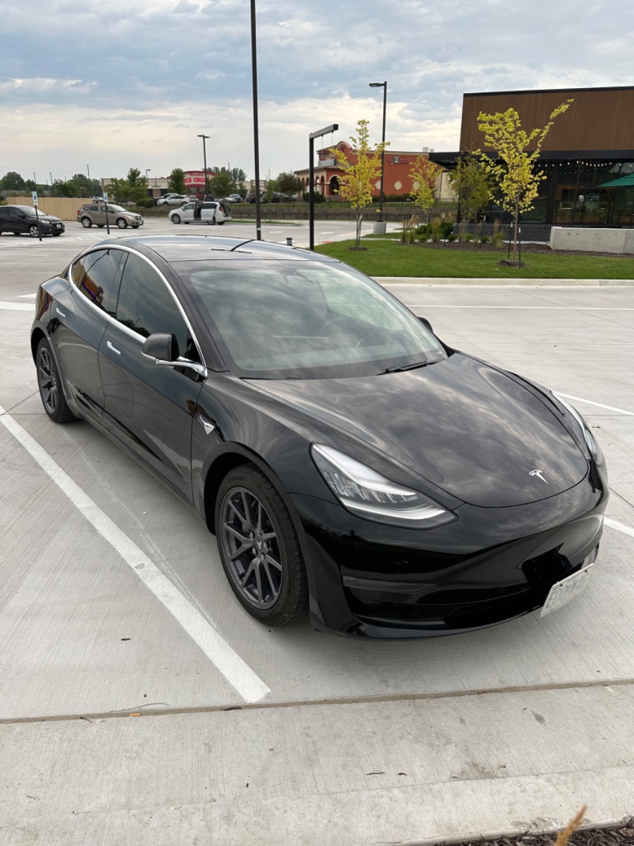 2019 Tesla Model 3 Standard Range Plus RWD full