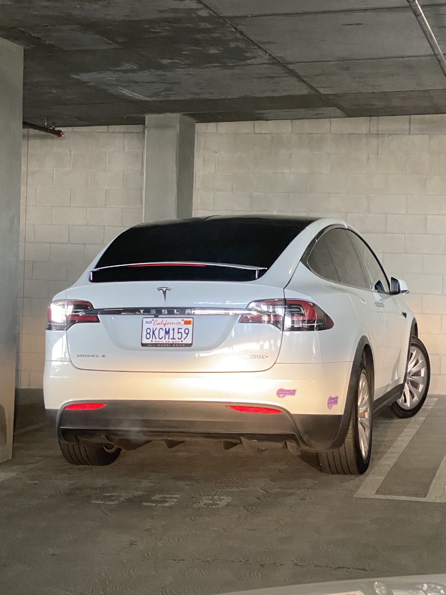 2019 Tesla Model X 100D full