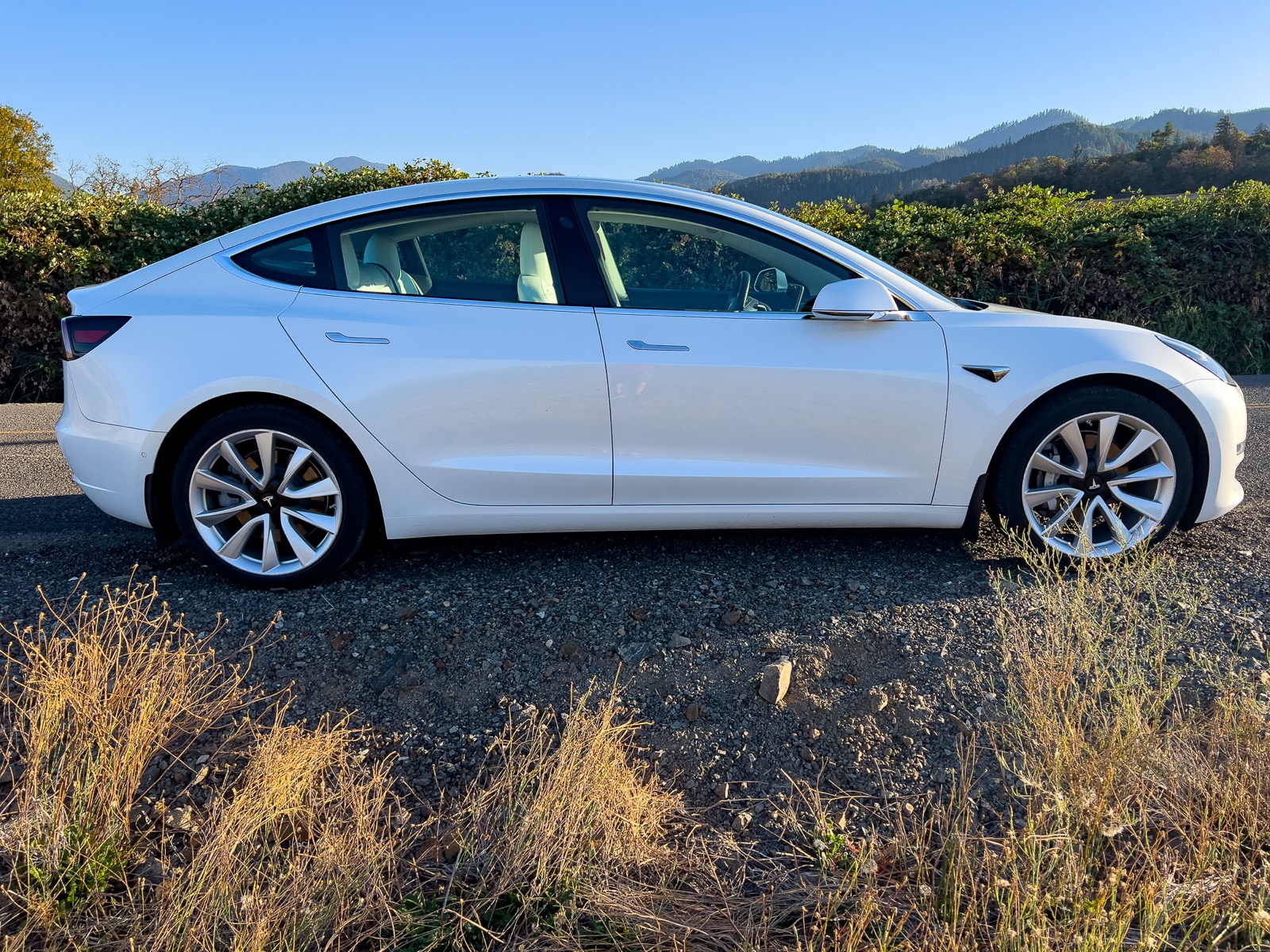 2019 Tesla Model 3 Long Range AWD full