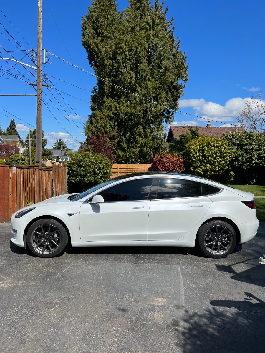 2019 Tesla Model 3 Standard Range Plus RWD Find My Electric
