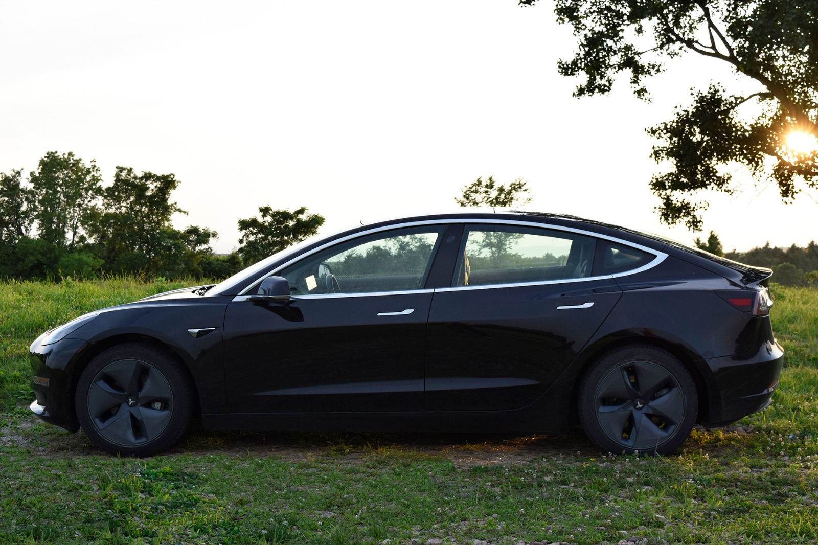 2019 Tesla Model 3 Standard Range Plus RWD full