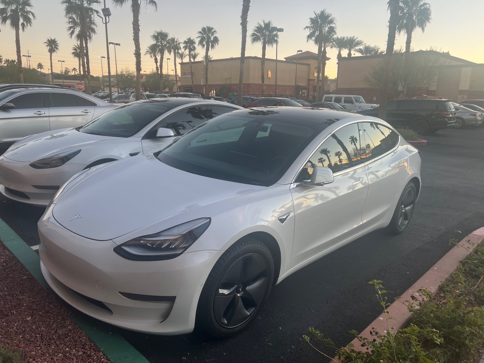2020 Tesla Model 3 Standard Range Plus RWD full