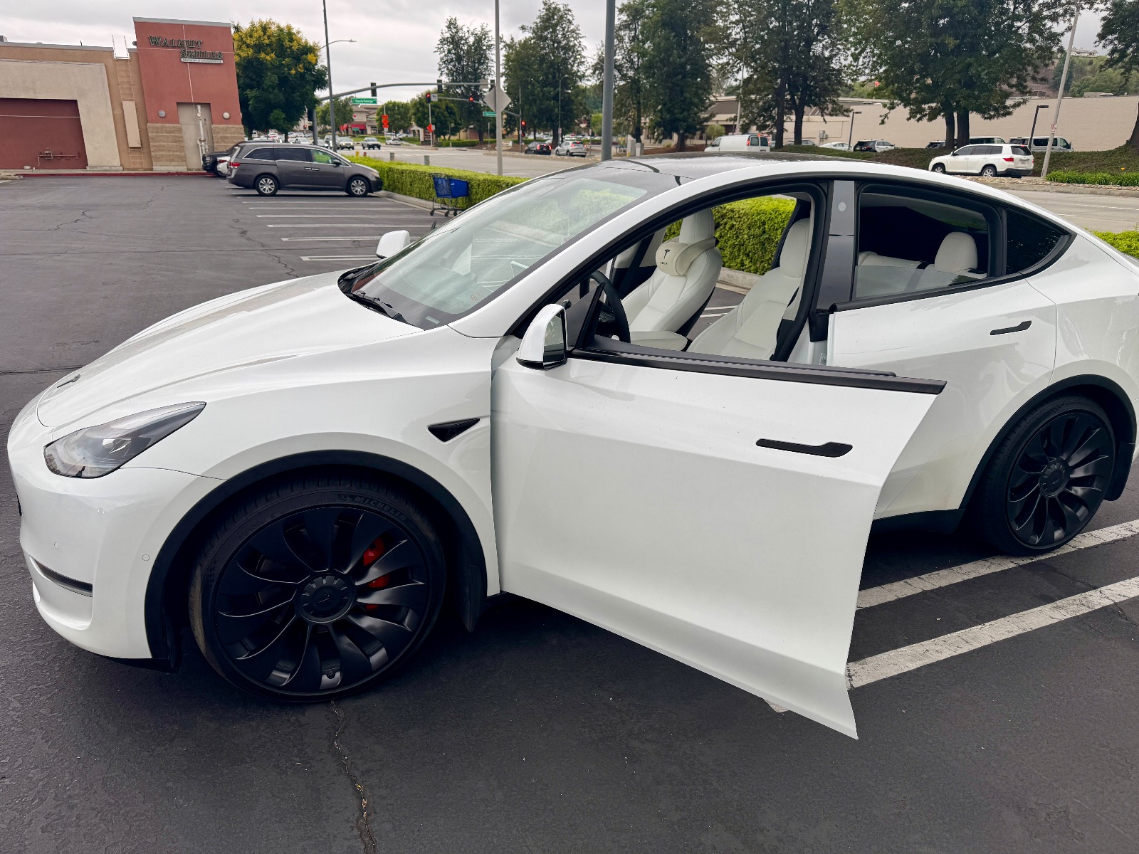 2022 Tesla Model Y Performance - Find My Electric