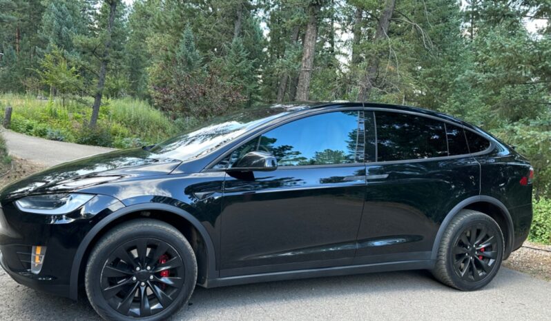 2019 Tesla Model X Performance