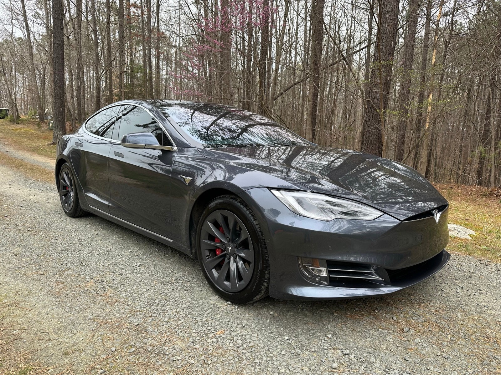 2019 deals tesla p100d