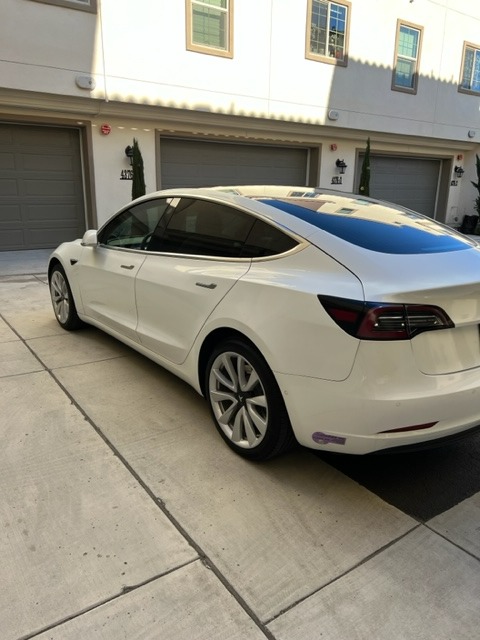 2019 Tesla Model 3 Standard Range Plus RWD full